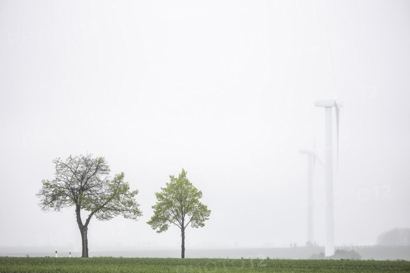 Trees along a country road stand out in front of wind turbines in Vierkirchen