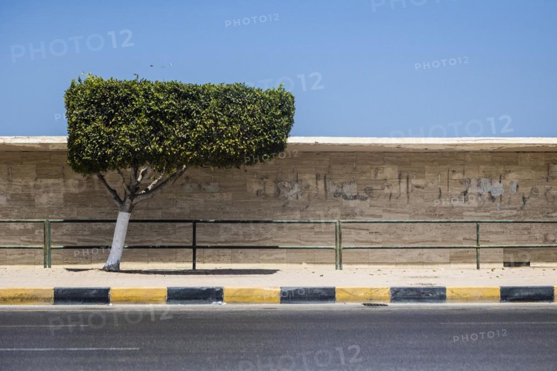 Tripoli
