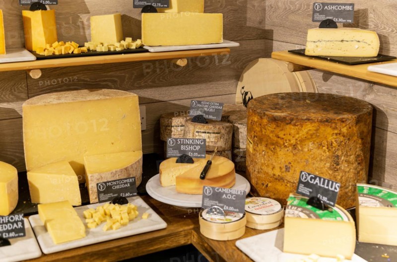 Variety of cheeses on display in cheese room of farm shop