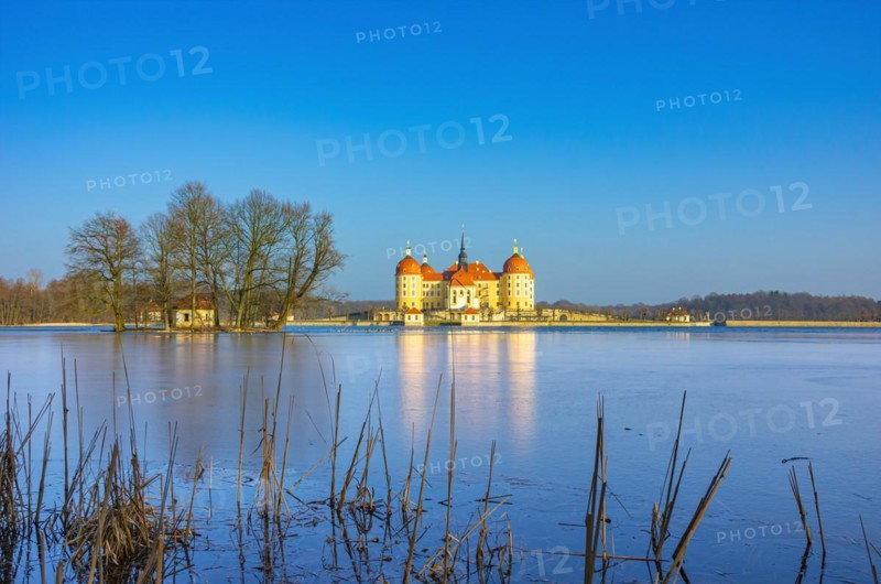 Winterly Moritzburg Castle and Duck Island with group of trees in the half frozen castle pond