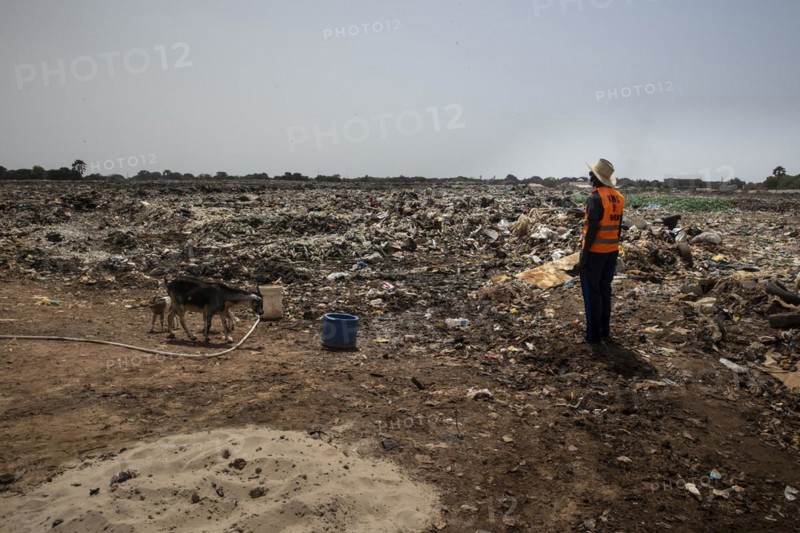 Wild rubbish dump in Africa
