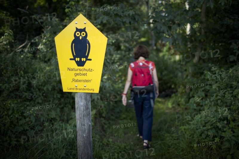 Nature reserve near Rabenstein Castle.