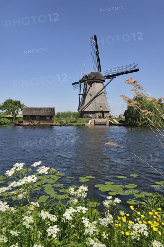 Thatched polder windmill at Kinderdijk