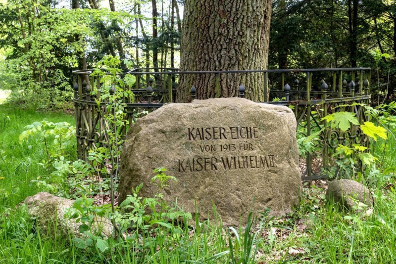 Imperial oak from 1913 for Kaiser Wilhelm II