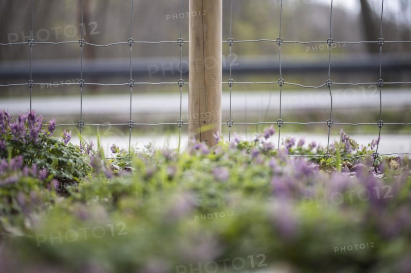 Protective fence against the spread of African swine fever