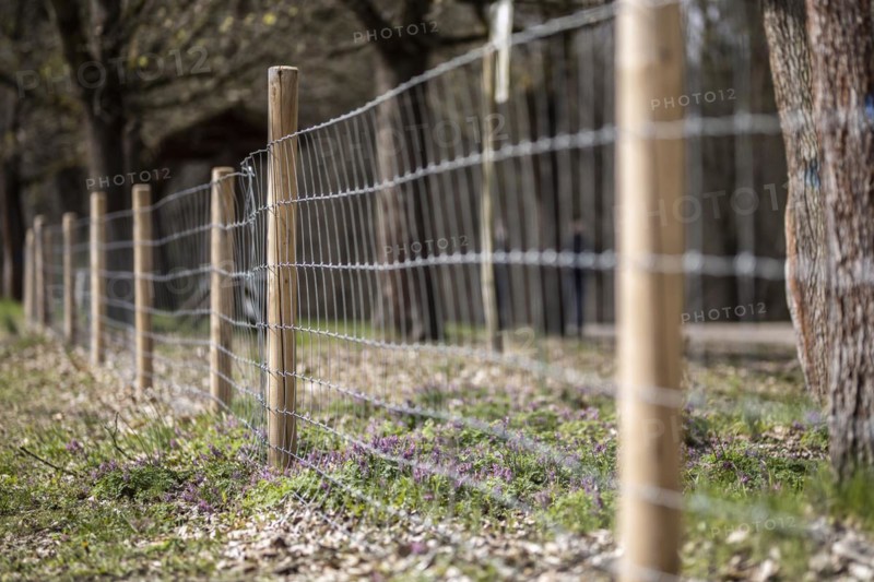Protective fence against the spread of African swine fever