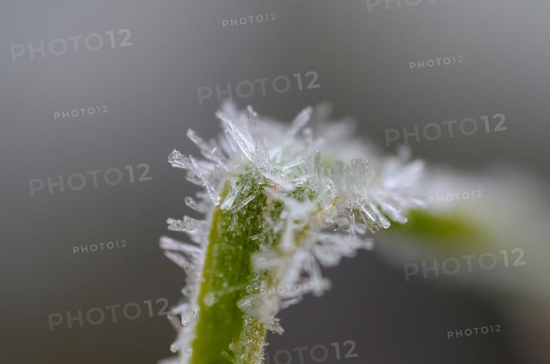 Ice crystalline on frozen grass