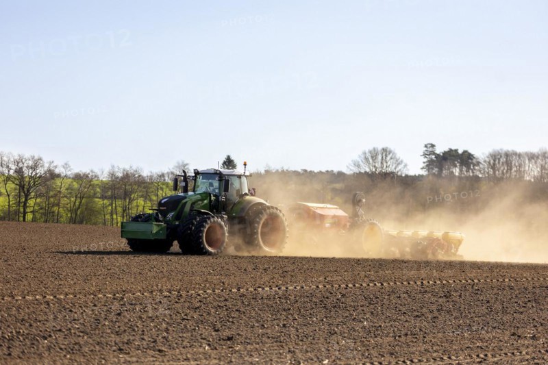 Maize sowing precision drill Vaederstad Tempo
