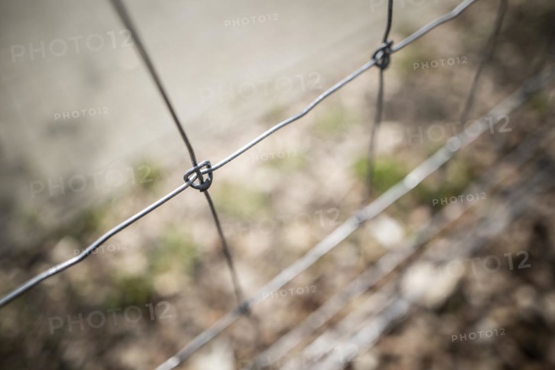 Protective fence against the spread of African swine fever