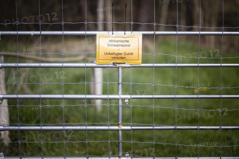 Protective fence against the spread of African swine fever
