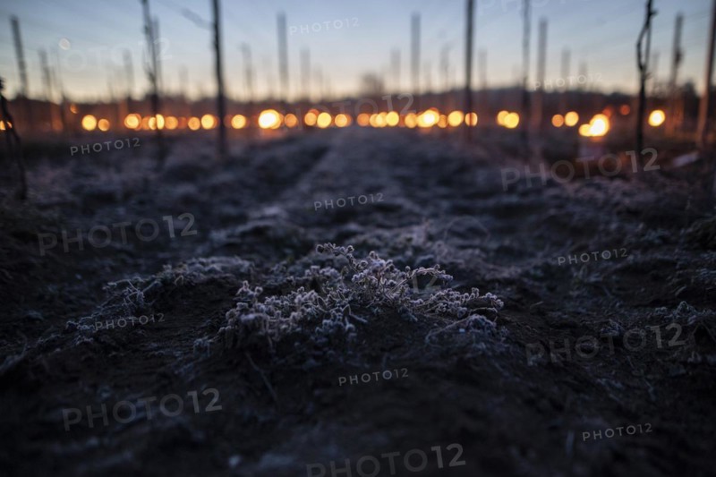 Fires loom on the vineyard of Wackerbarth Castle in Weinboehla