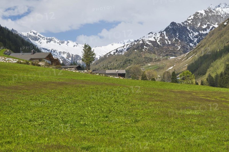Snowy Krimmler Tauern and Zillertal Alps