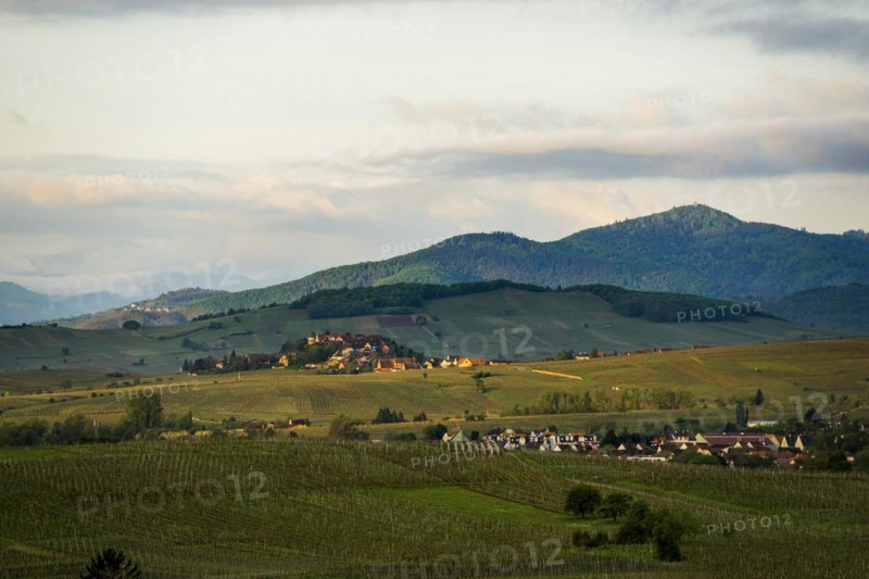 Medieval village in the vineyards