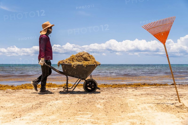 Worker carrying a wheelbarrow with