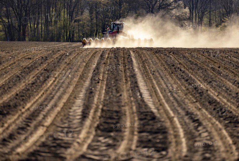 Maize sowing precision drill Vaederstad Tempo