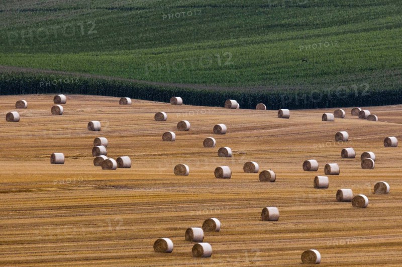 Aerial view of wheat and maize fields in Pfaffendorf in Saxony