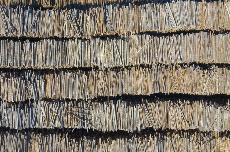 Aerial view over stacked tree trunks