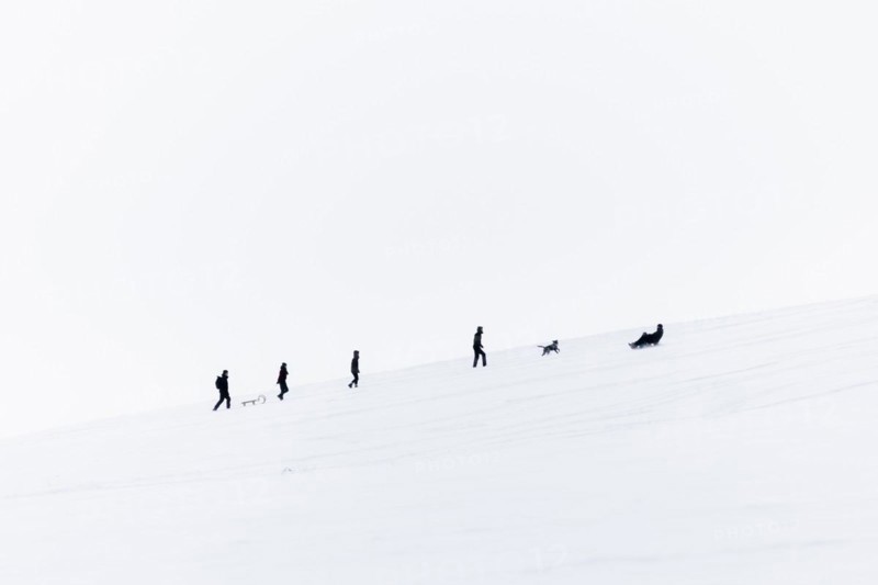 People on a toboggan slope in Koenigshain