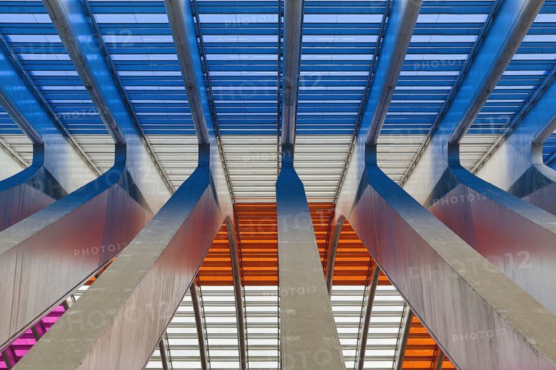 Colourful roof construction