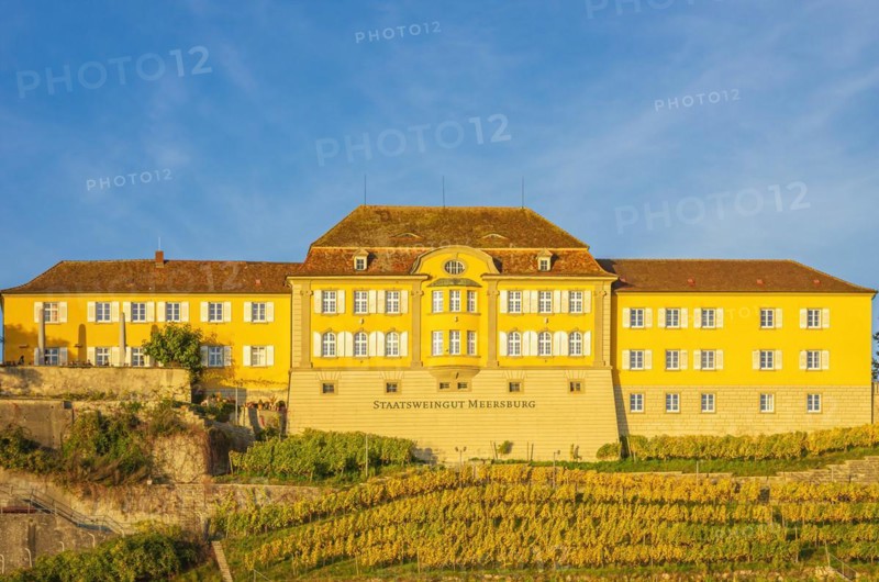 Meersburg State Winery on Lake Constance