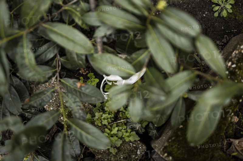 Discarded FFP2 masks lying in nature