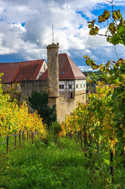 Surrounded by vineyards
