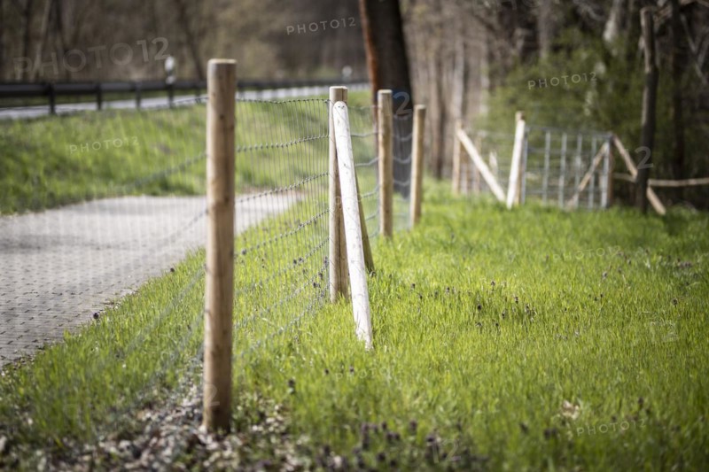 Protective fence against the spread of African swine fever