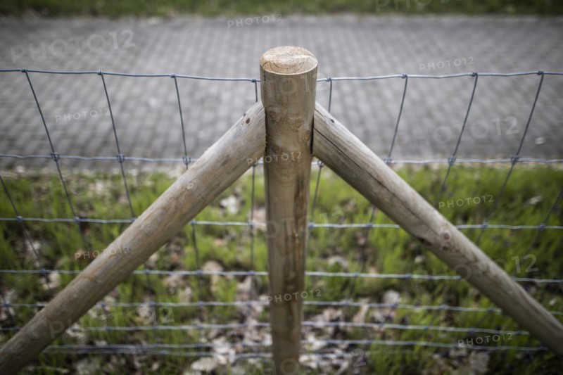 Protective fence against the spread of African swine fever