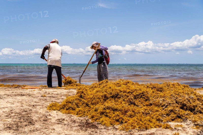 Workers cleaning