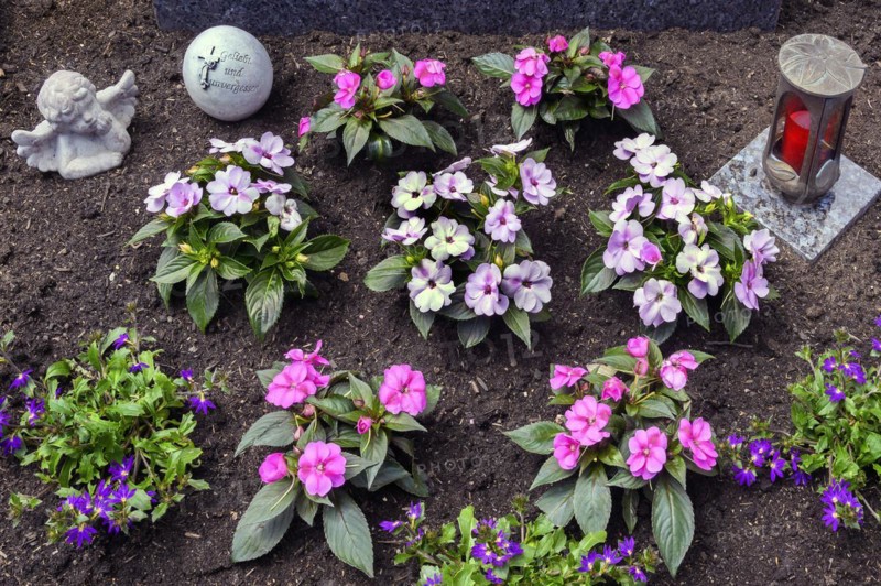 Flower decoration on grave