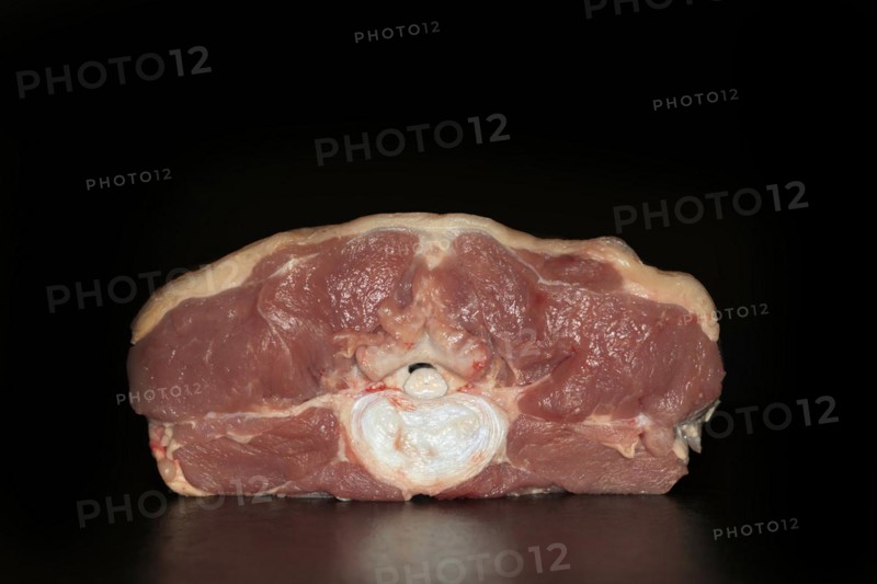 Fresh cut saddle of lamb with fillet