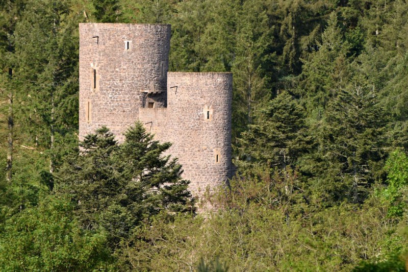 The medieval Spornburg Frauenburg in the Birkenfeld district in the morning light