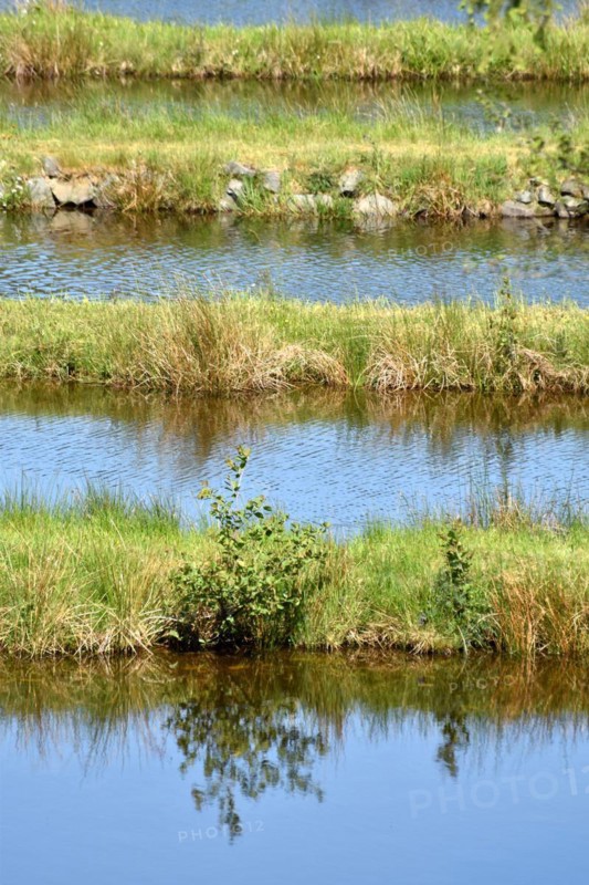 The Traunbach in the Hunsrück-Hochwald National Park with basins for trout farming