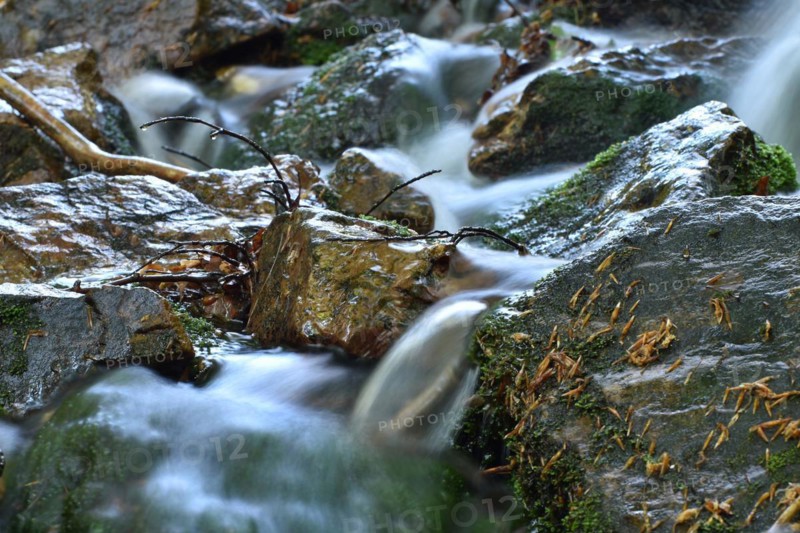The Traunbach stream flowing over rock in the Hunsrück-Hochwald National Park