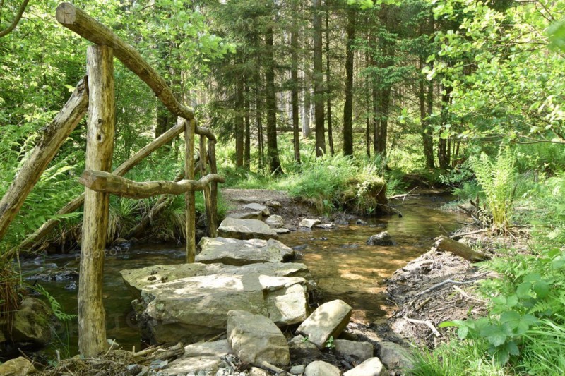 The Traunbach in the Hunsrück-Hochwald National Park with a near-natural crossing for hikers