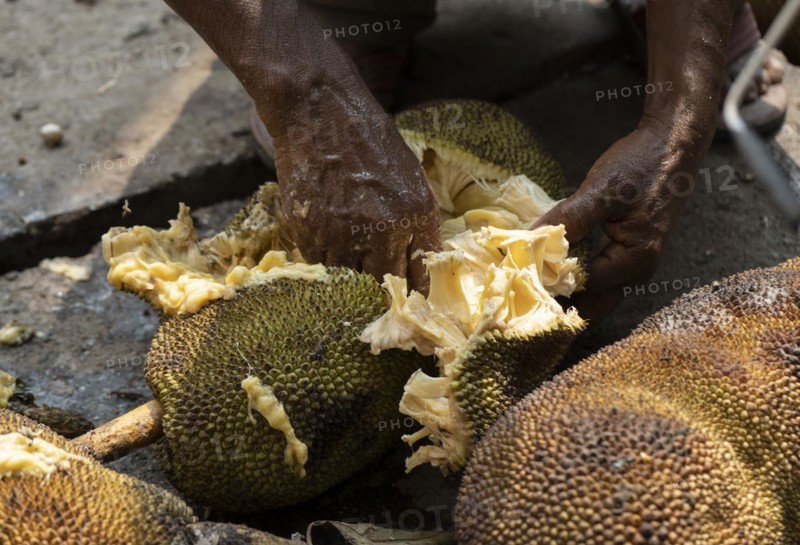 A person collects jackfruit seed for sell in a market