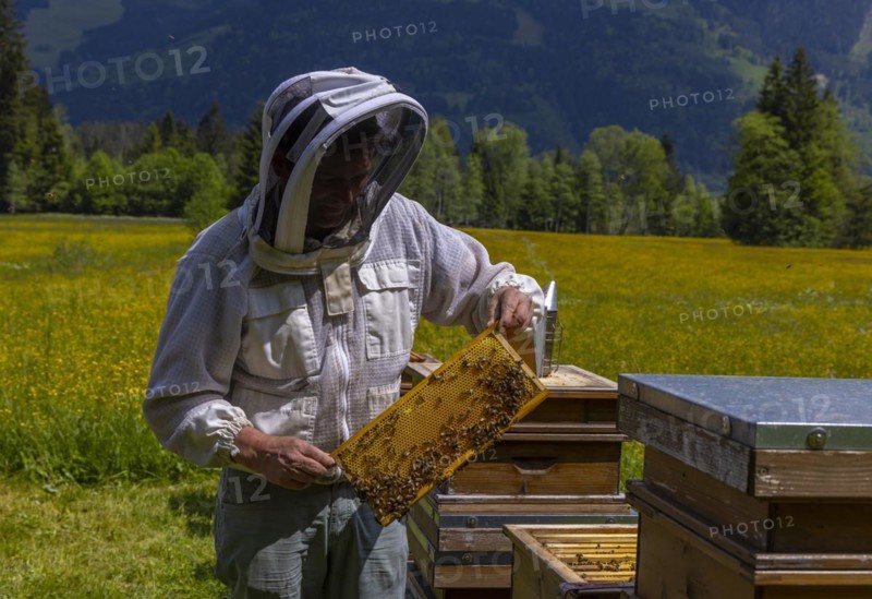 Beekeeper
