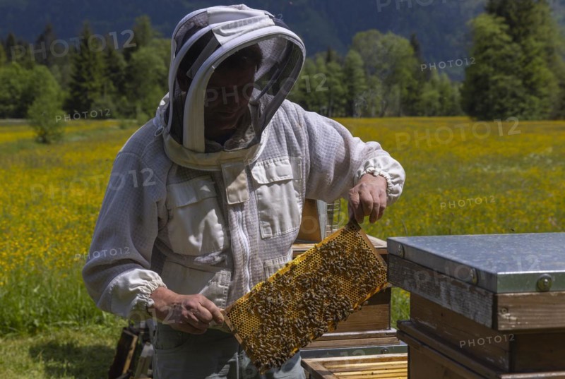 Beekeeper