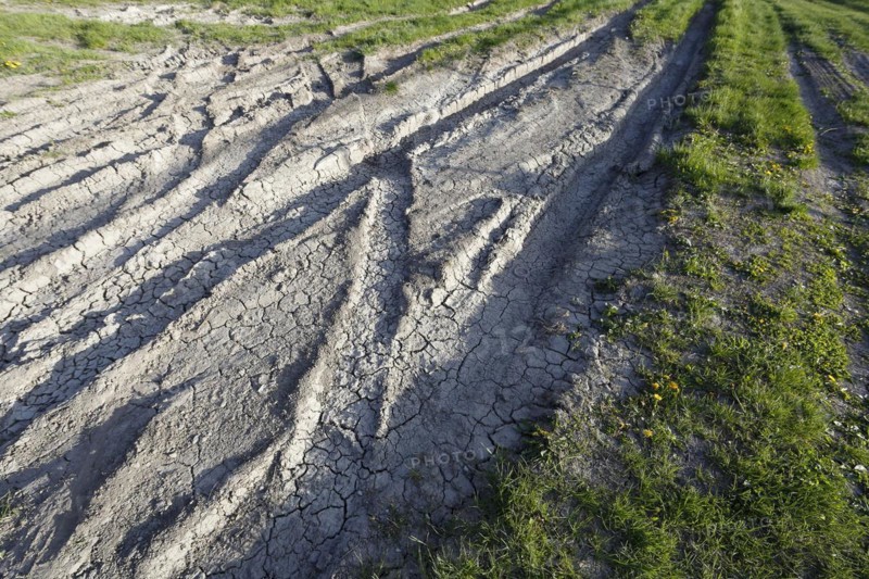 Tire prints in dried mud