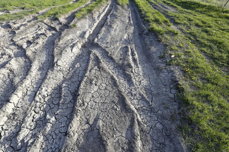 Tire prints in dried mud