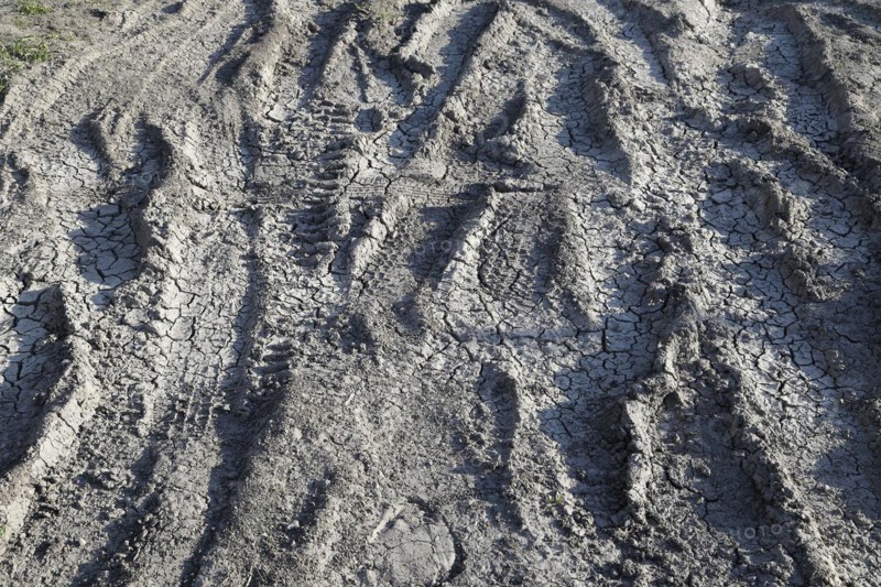 Tire prints in dried mud
