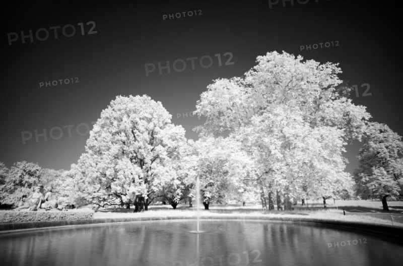 Infrared image