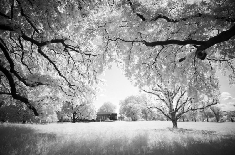 Infrared image