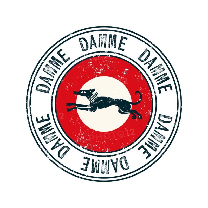 Damme