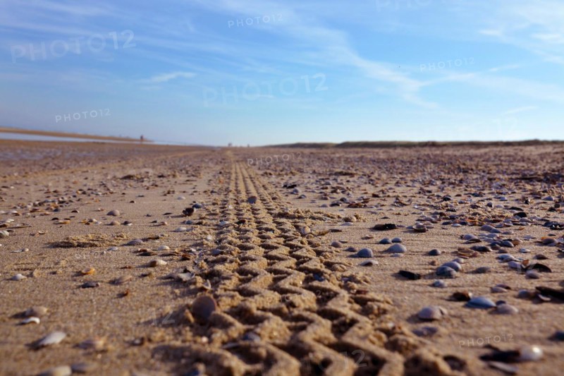 Car tire tracks leading through sand beach with blue summer sky in background