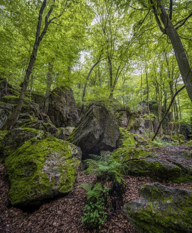 Felsenmeer in Hemer