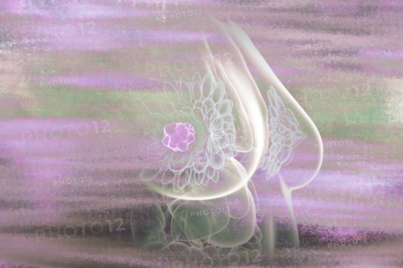 Breast cancer This type of cancer is very common in woman