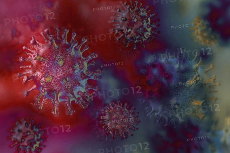Viruses can make people sick like hepatitis or aids