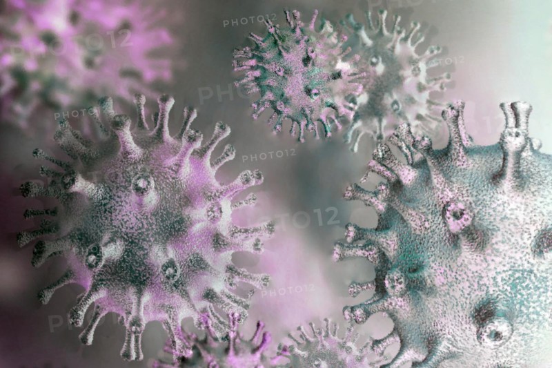 Viruses can make people sick like hepatitis or aids