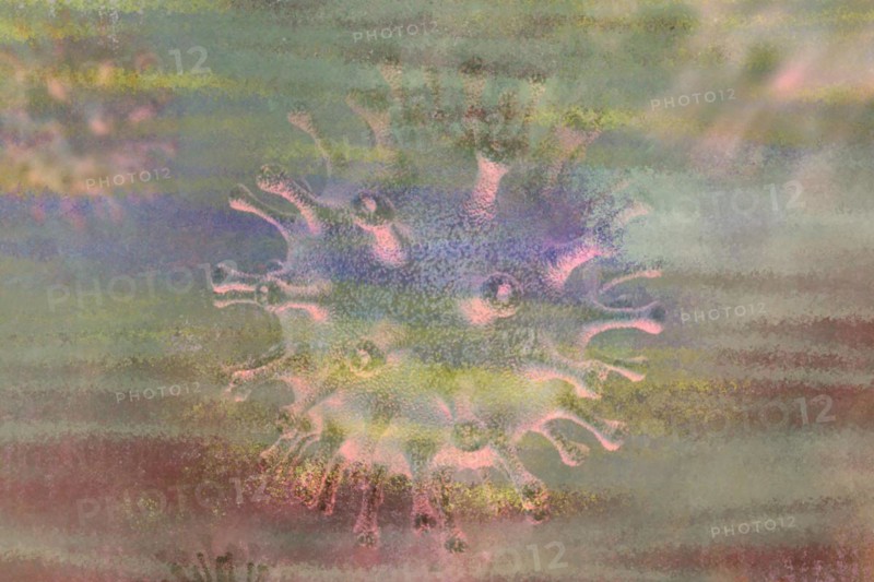 Viruses can make people sick like hepatitis or aids
